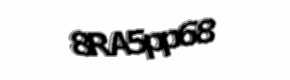 Security check image, please type the characters shown